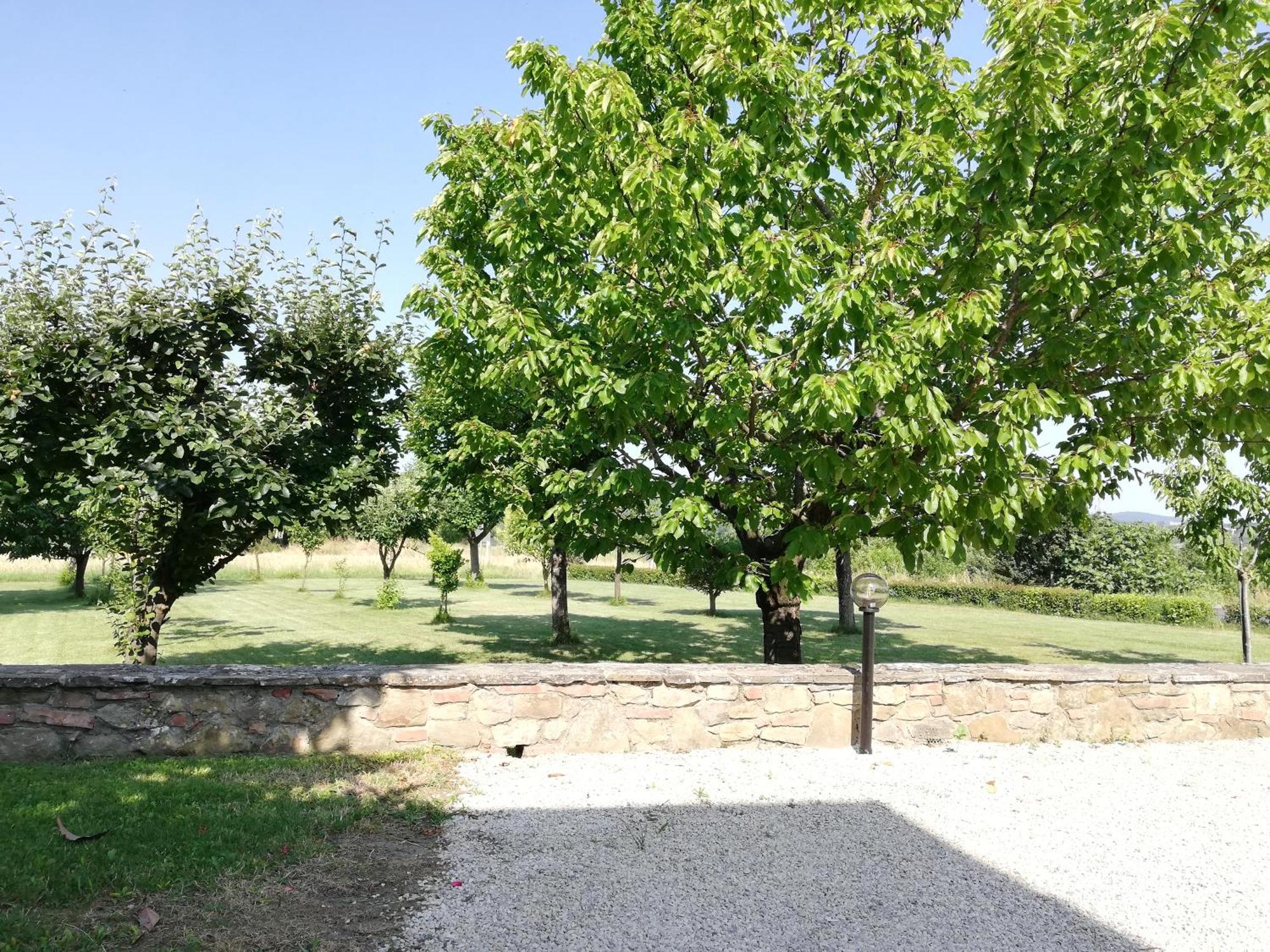 Il Papavero Verde Lucignano Exteriér fotografie